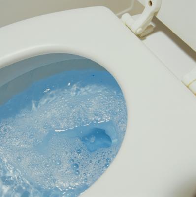 4 Easy Fixes For A Weak Flushing Toilet | Flush Masters Plumbing & Draining